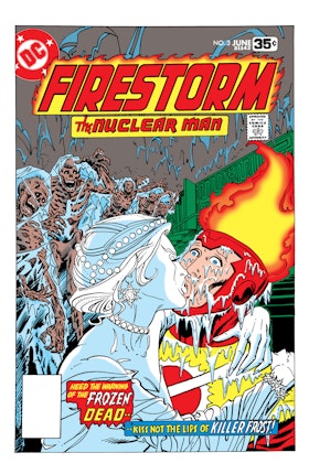 Firestorm #3