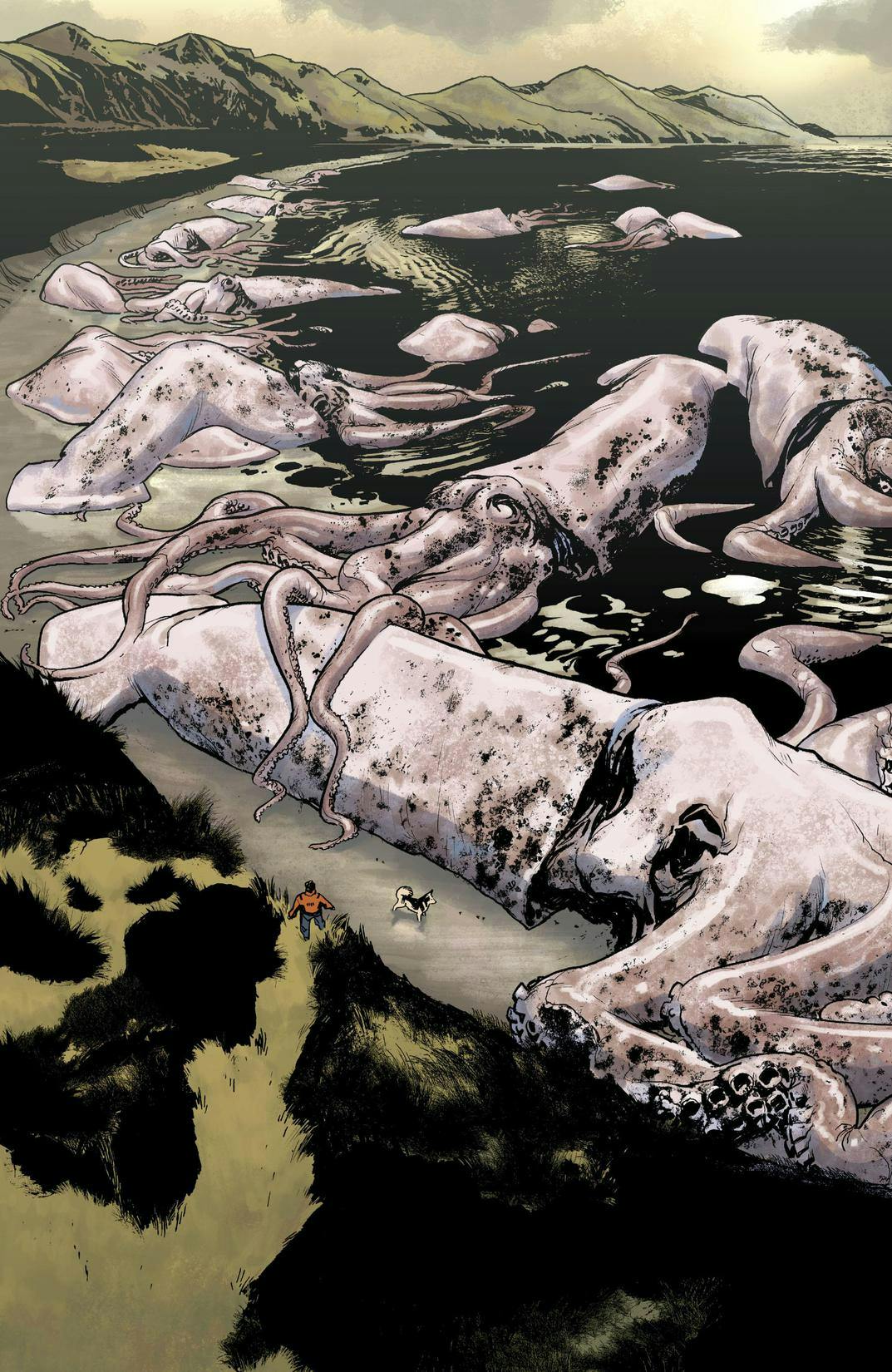 Plunge series preview2