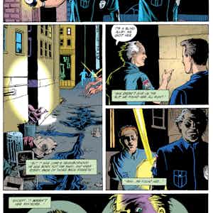 Black Orchid series preview2