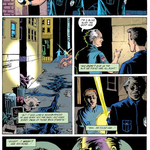 Black Orchid series preview2