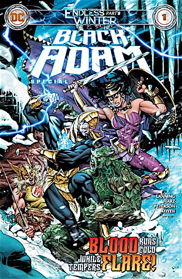 Black Adam: Endless Winter Special #1 preview images