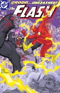 The Flash (1987-2009) #193