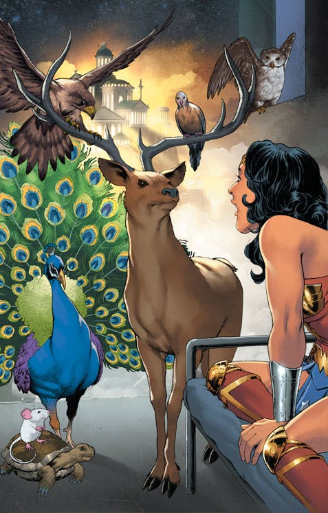 Wonder Woman Year One DC Go! Edition #6