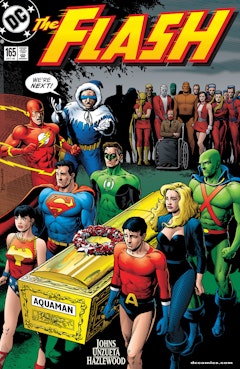 The Flash (1987-2009) #165