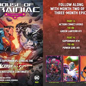 The Boy Wonder series preview2
