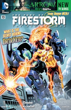 The Fury of Firestorm: The Nuclear Man #13