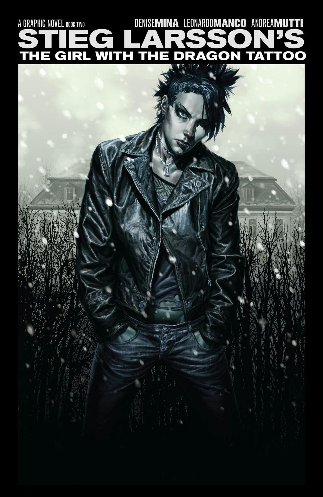 The Girl with the Dragon Tattoo Book Two