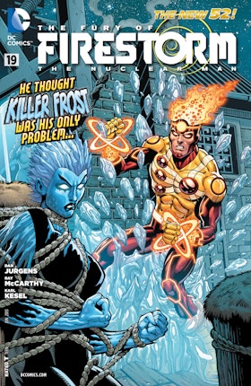 The Fury of Firestorm: The Nuclear Man #19
