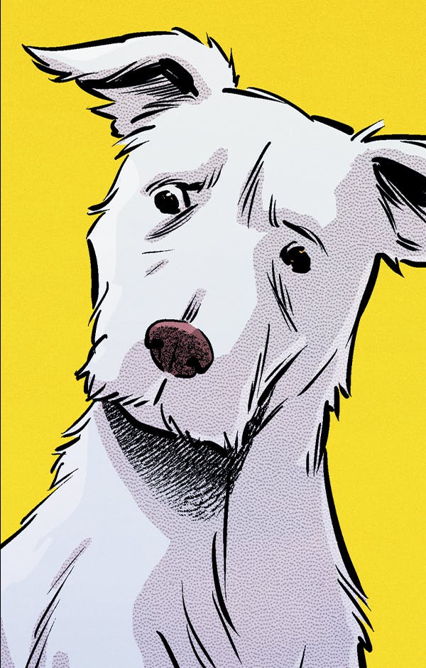 Krypto: The Last Dog of Krypton DC Go! Edition (2026-) #6