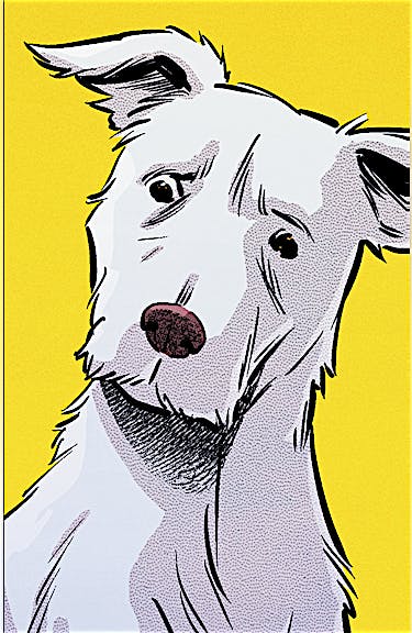 Krypto: The Last Dog of Krypton DC Go! Edition (2026-) #6