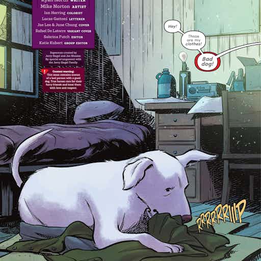 Krypto: The Last Dog of Krypton series preview2
