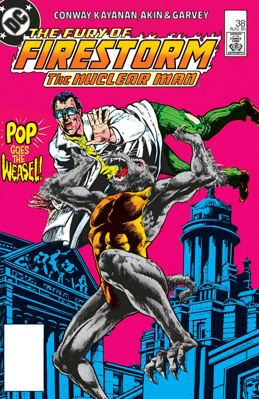 The Fury of Firestorm #38