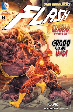 Flash (2011-) #14