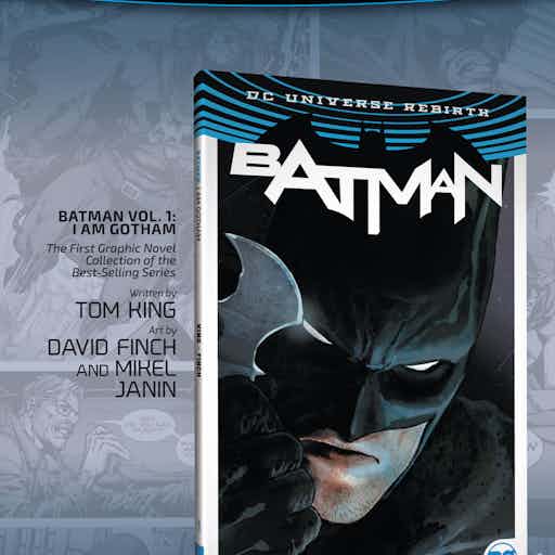 Mother Panic series preview1